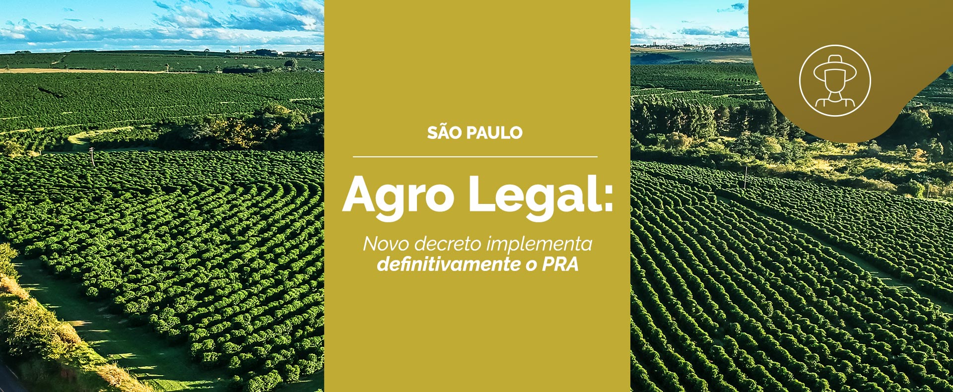 Agro Legal: novo decreto implementa definitivamente o PRA