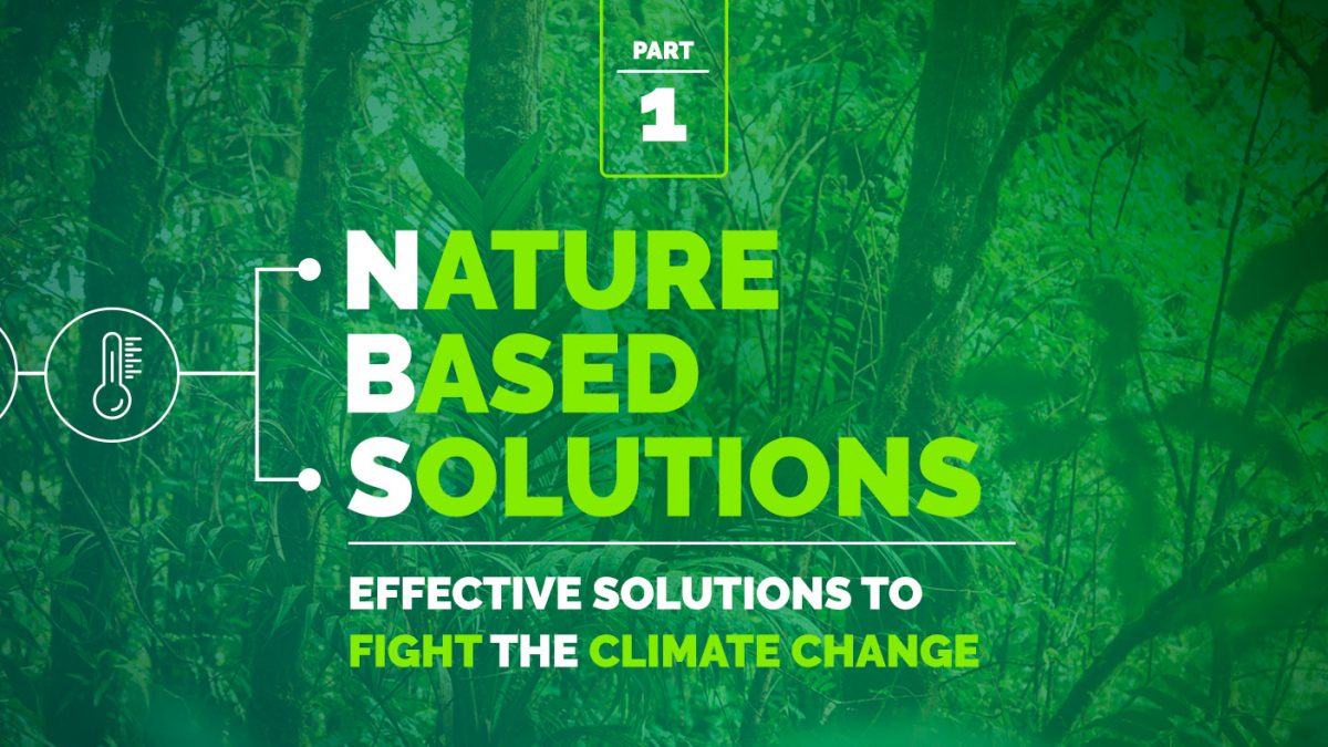 nature based solutions presentation