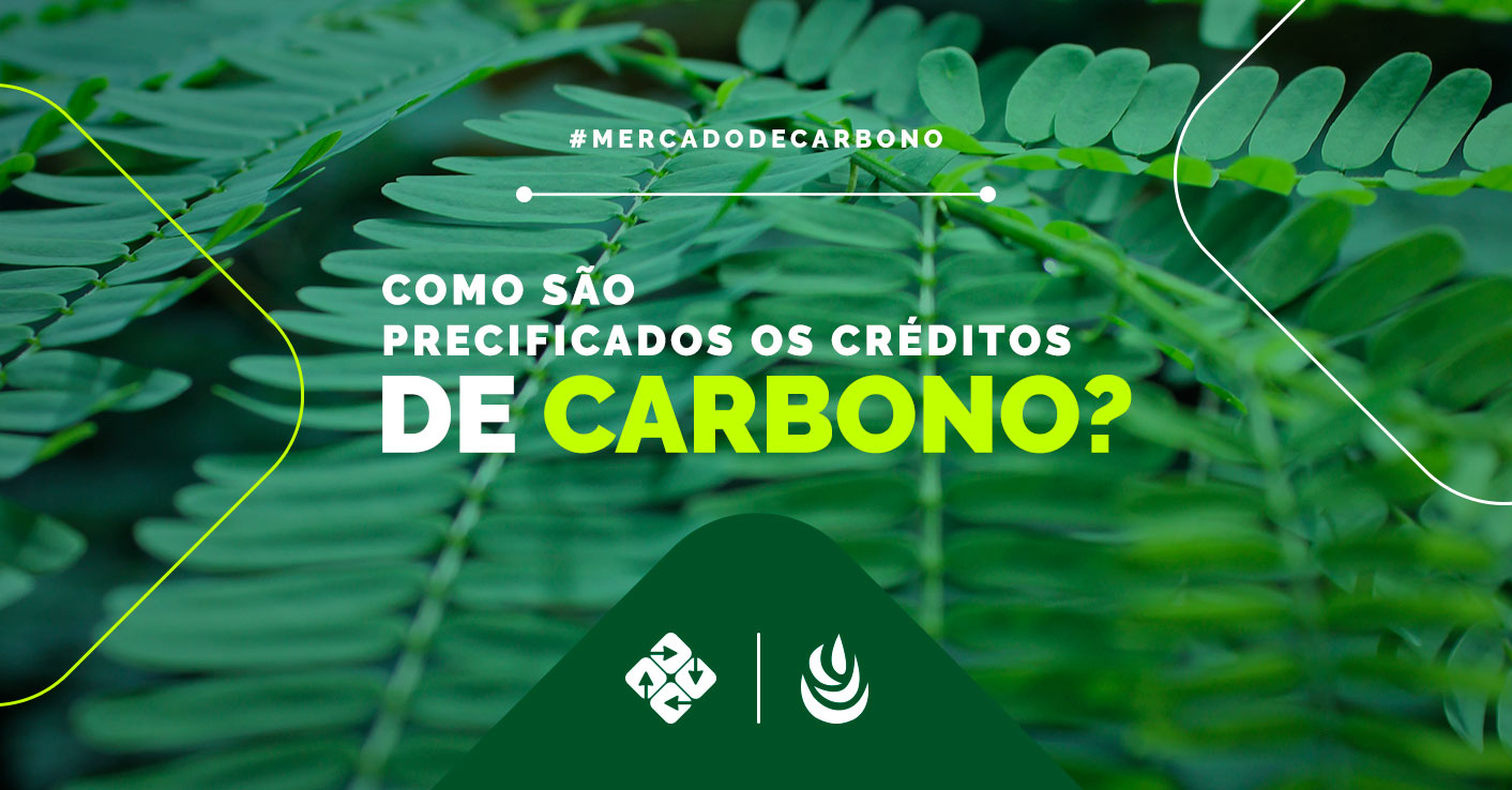 Como são precificados os créditos de carbono?
