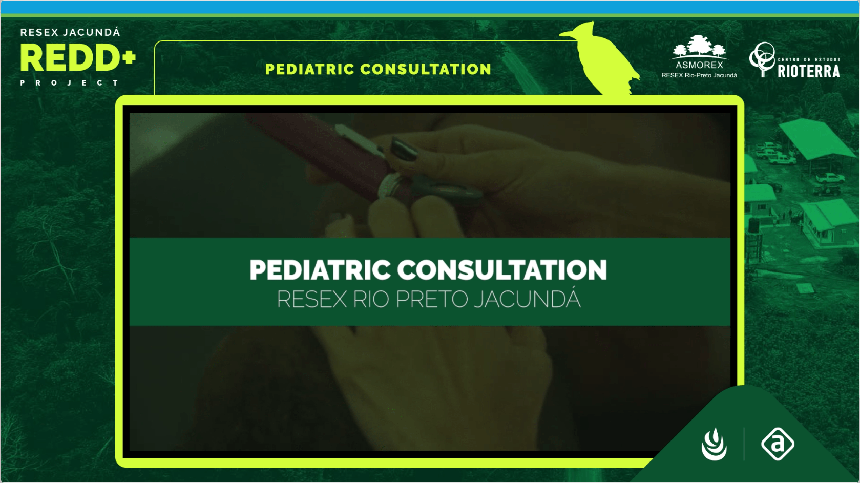 Pediatric care provided to children in the Rio Preto-Jacundá Extractive Reserve