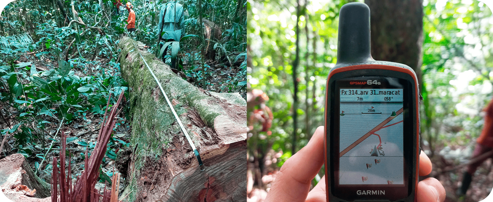 Profissionais realizando o romaneio de espécies abatidas e utilizando GPS para localização das espécies a serem manejadas na área doProjeto REDD+ Manoa