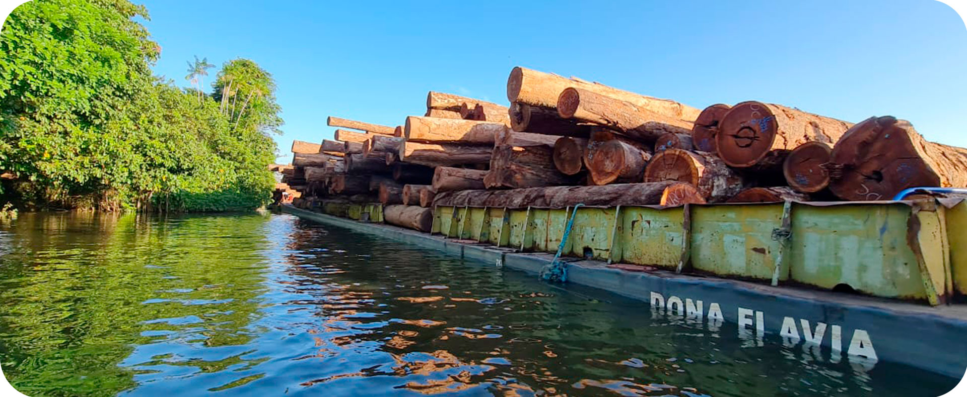 Transportation of logs from sustainable management in the Jutaituba REDD+ Project area.