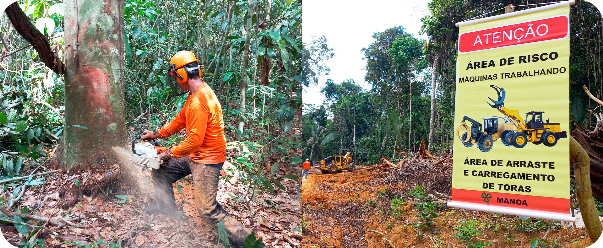 Demonstração de boas práticas de manejo com impacto reduzido à floresta e redução de riscos aos colaboradores na área do Projeto REDD+ Manoa