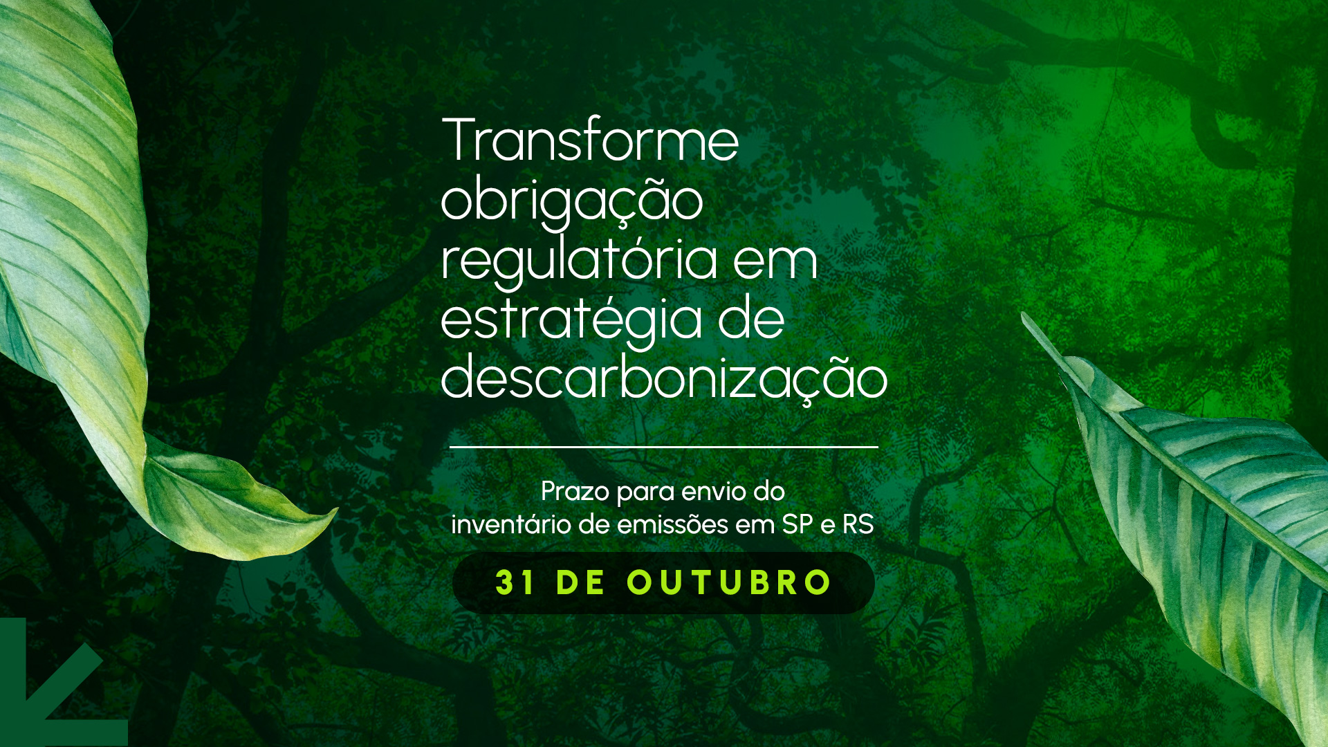 Biofílica | Inventário de GEE - Transforme obrigação regulatória em estratégia de descarbonização
